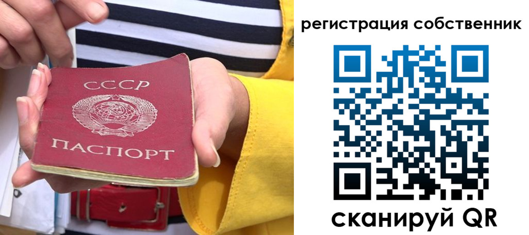 временная прописка в Ясном